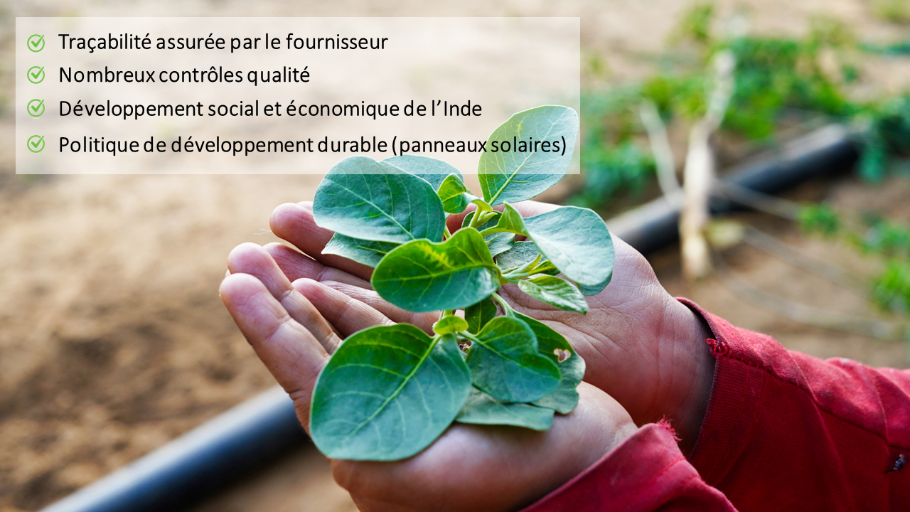 Ashwagandha Shoden : une alliance de qualité, traçabilité et dévellopement durable